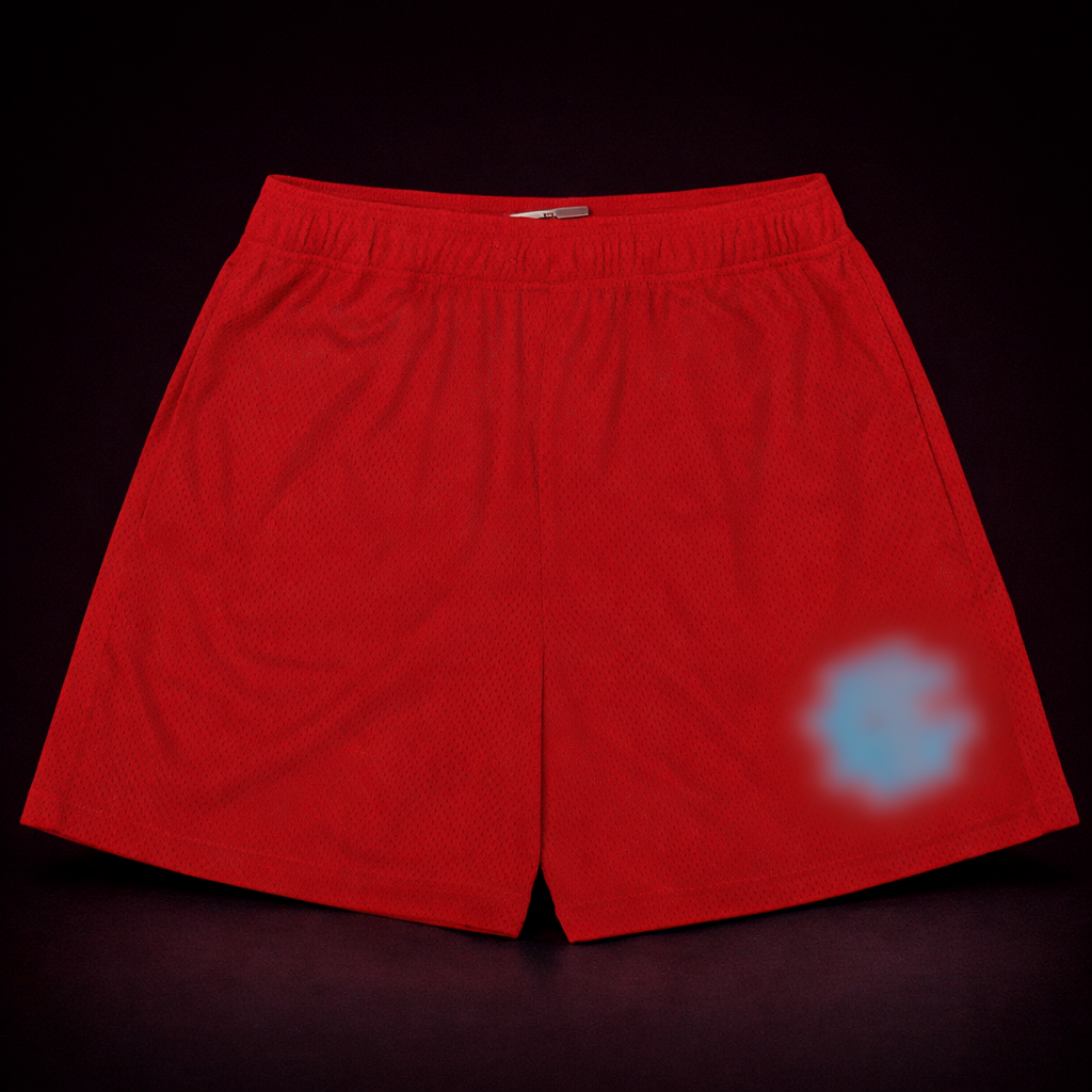 Eric 3manu3l EE Basic Shorts