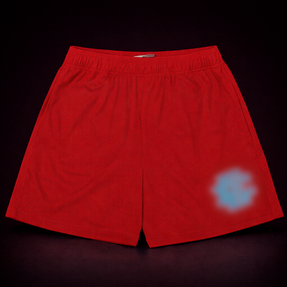 Eric 3manu3l EE Basic Shorts